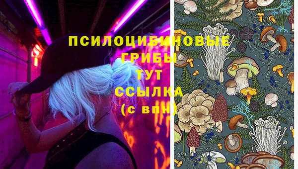 бошки Абинск