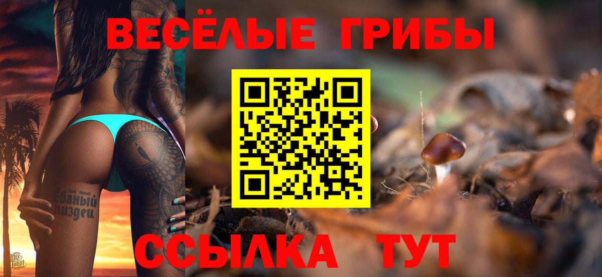 Электросталь  Псилоцибиновые грибы GOLDEN TEACHER  Галлюциногенные грибы Psilocybine cubensis  Вход с VPN 