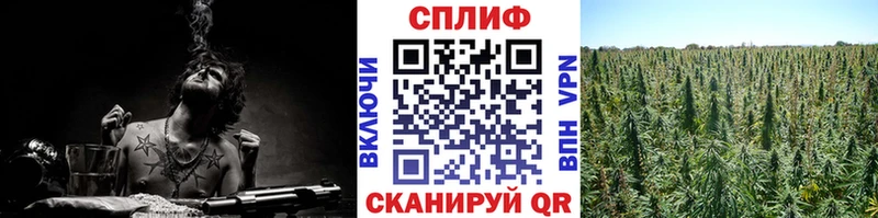 МАРИХУАНА марихуана  Электросталь 